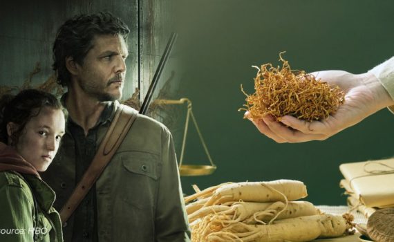 Manfaat Jamur Cordyceps untuk Kesehatan