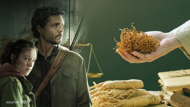 Manfaat Jamur Cordyceps untuk Kesehatan