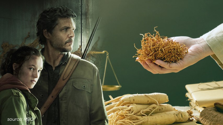 Manfaat Jamur Cordyceps untuk Kesehatan