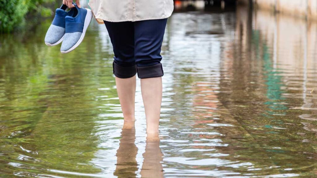 Leptospirosis-Penyakit-yang-Perlu-Diwaspadai-Saat-Musim-Hujan-Tiba